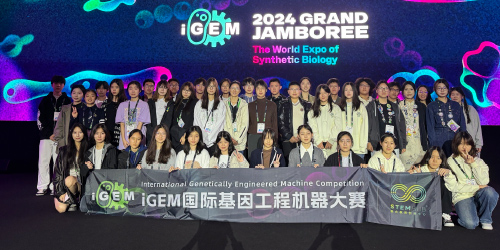 Worldshaper背景提升