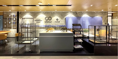 STEMHUB融合教育创新中心